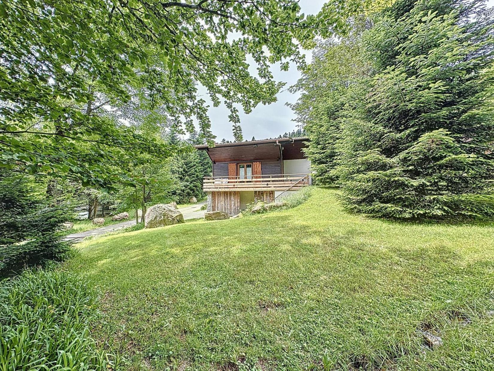 Le Chalet Des Belles Roches, La Bresse Hohneck Villa ภายนอก รูปภาพ